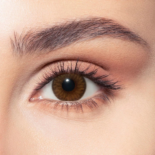 nerelle bella one day contact lenses optic dib beirut lebanon