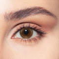 siren bronze bella one day contact lenses optic dib lebanon beirut