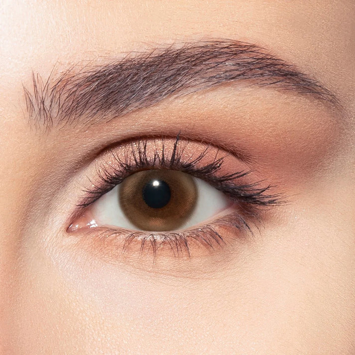 siren bronze bella one day contact lenses optic dib lebanon beirut