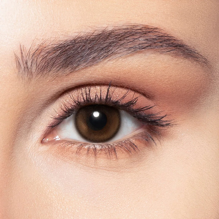 venus bella one day contact lenses dib optic beirut lebanon