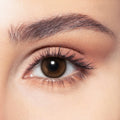 venus bella one day contact lenses dib optic beirut lebanon