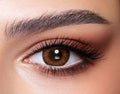 bella one day color contact lenses dib optic beirut lebanon
