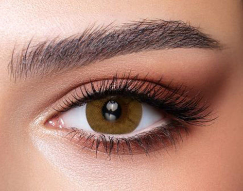 bella one day citrine crystal colored contact lenses dib optic lebanon beirut