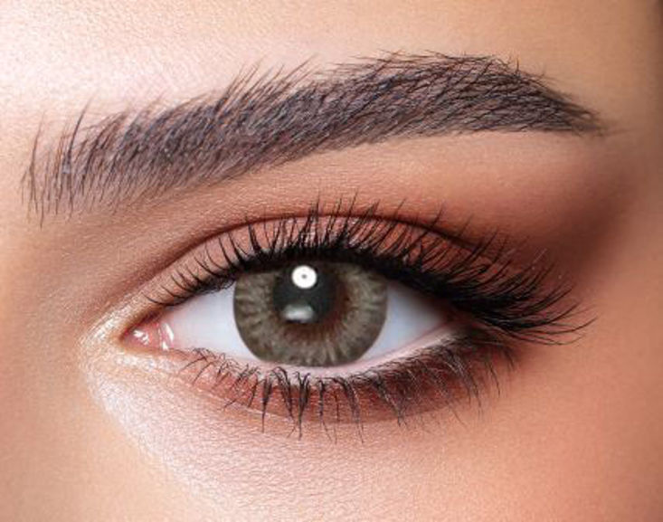 platinum gray bella one day contact lenses dib optic beirut lebanon 