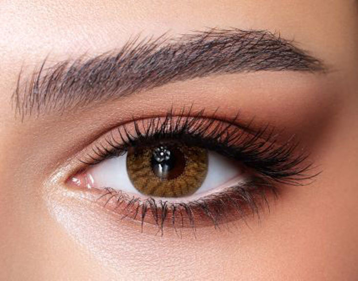 radiant hazelnut bella one day contact lenses dib optic beirut lebanon