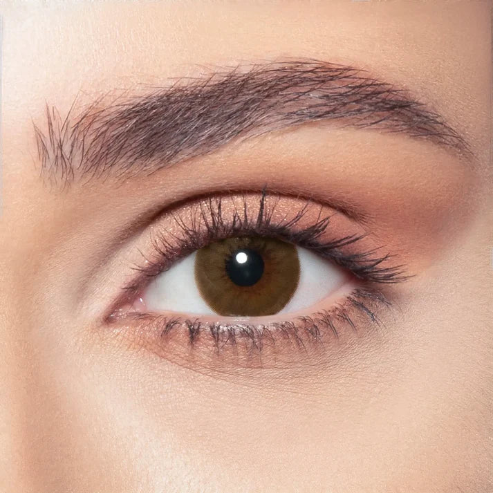 Brown shadow contact lenses monthly | optic dib beirut lebanon 76656863
optic optical shop optician eyewear eyeglasses sunglasses near me