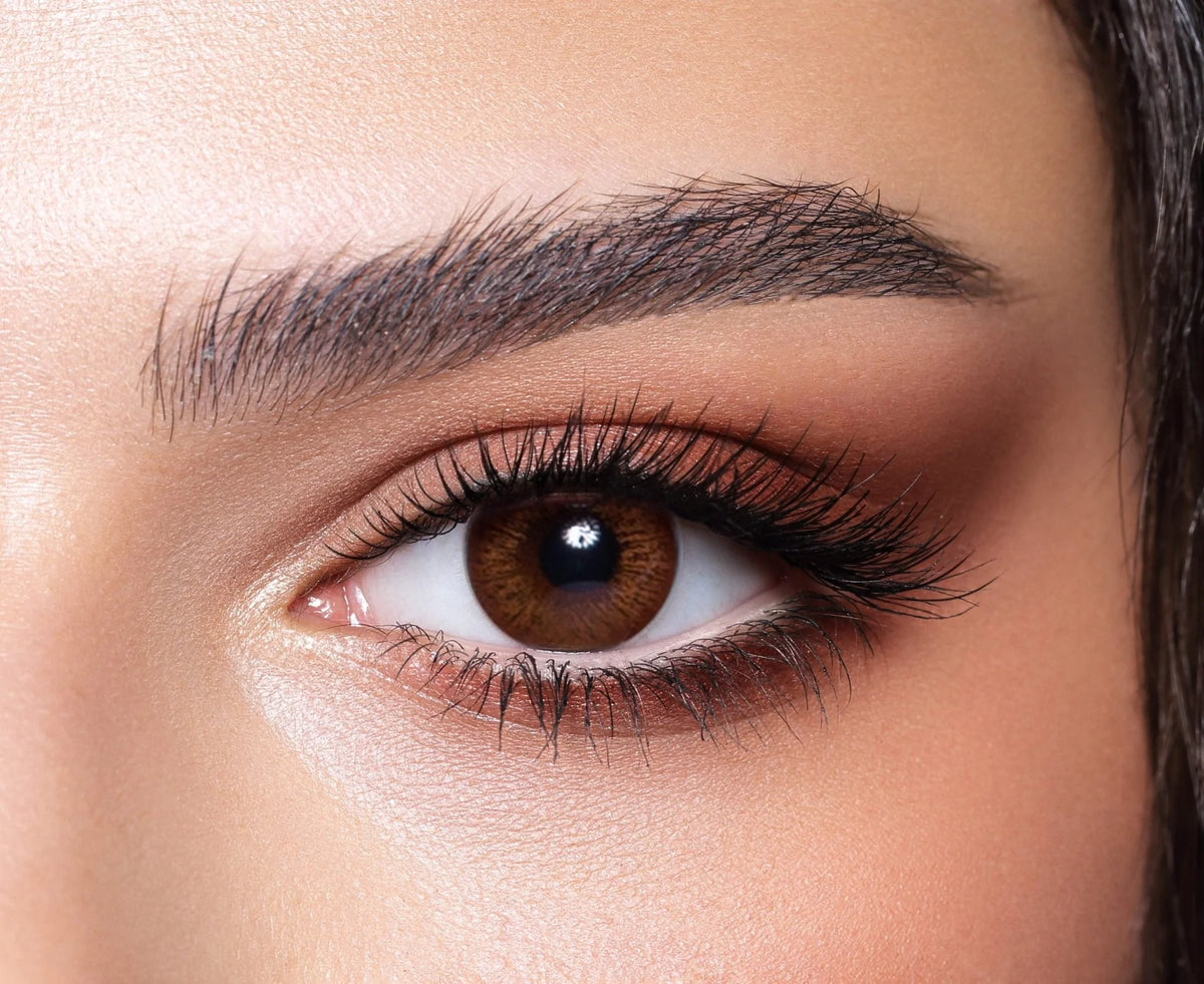 Cinnamon brown contact lenses monthly | optic dib beirut lebanon 76656863
optic optical shop optician eyewear eyeglasses sunglasses near me
