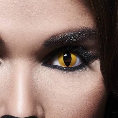 Halloween Bella lenses Yellow Cat | beirut lebanon near me optic dib 76656863