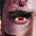 Halloween Bella lenses Zombie Red | beirut lebanon near me optic dib 76656863